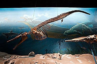 《文明 VII》更新1.1.1发布 带来更优质的游戏体验