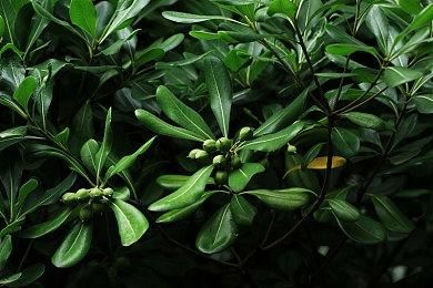 《冬日幸存者》公开全新故事预告片 钓鱼新玩法即将到来